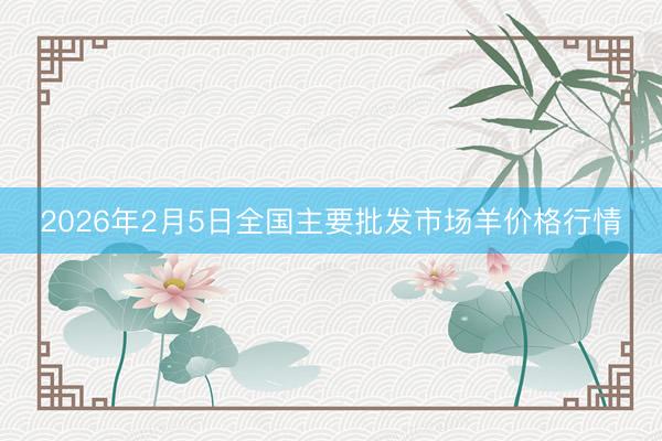 2026年2月5日全国主要批发市场羊价格行情
