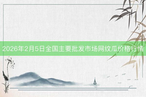 2026年2月5日全国主要批发市场网纹瓜价格行情