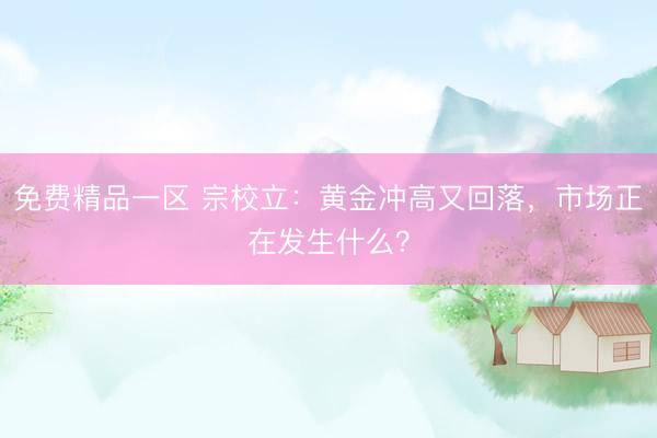 免费精品一区 宗校立：黄金冲高又回落，市场正在发生什么？