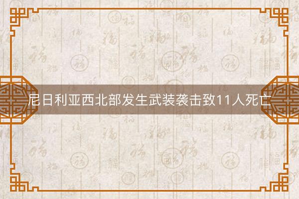 尼日利亚西北部发生武装袭击致11人死亡