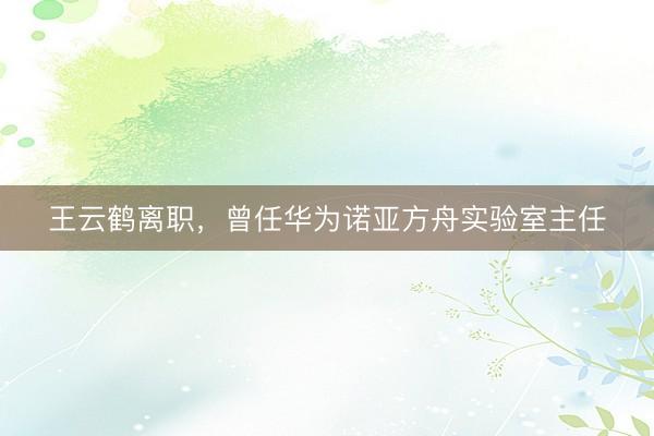 王云鹤离职，曾任华为诺亚方舟实验室主任