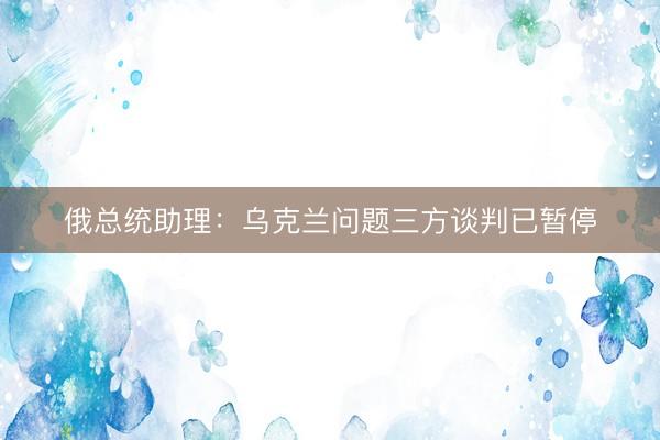 俄总统助理：乌克兰问题三方谈判已暂停
