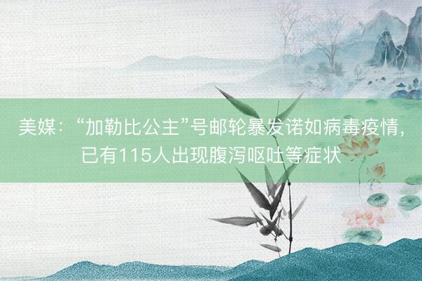 美媒：“加勒比公主”号邮轮暴发诺如病毒疫情，已有115人出现腹泻呕吐等症状