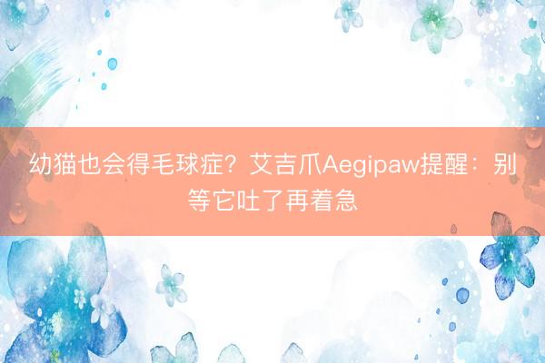 幼猫也会得毛球症？艾吉爪Aegipaw提醒：别等它吐了再着急