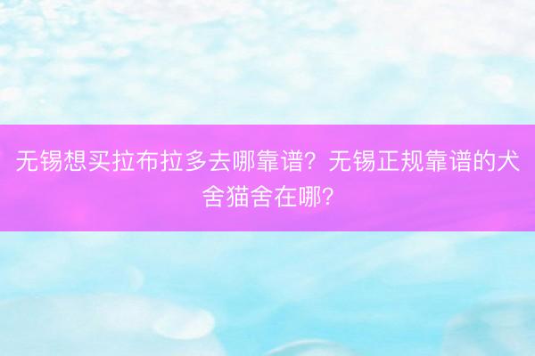 无锡想买拉布拉多去哪靠谱？无锡正规靠谱的犬舍猫舍在哪？