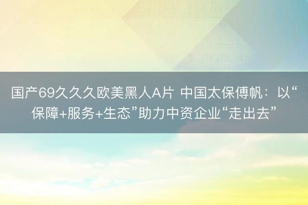 国产69久久久欧美黑人A片 中国太保傅帆：以“保障+服务+生态”助力中资企业“走出去”
