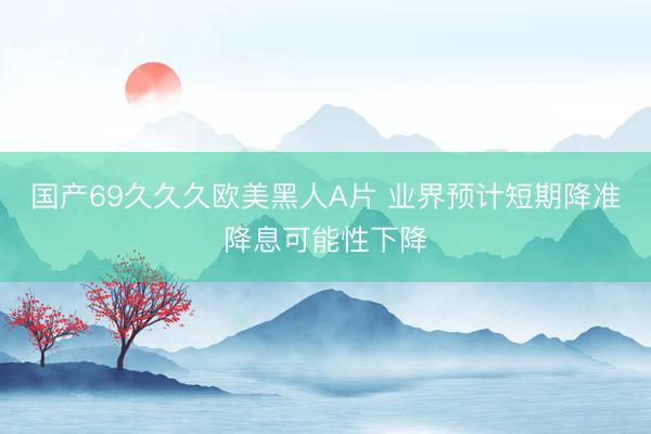 国产69久久久欧美黑人A片 业界预计短期降准降息可能性下降