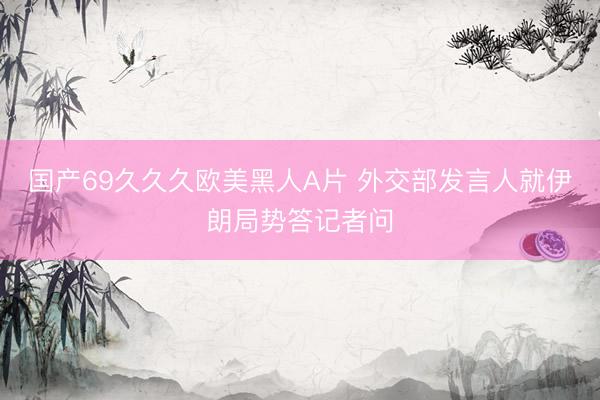 国产69久久久欧美黑人A片 外交部发言人就伊朗局势答记者问