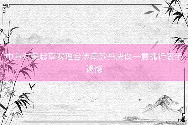 中方对美起草安理会涉南苏丹决议一意孤行表示遗憾