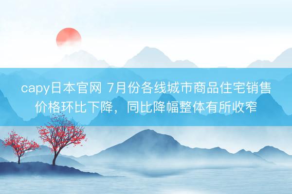 capy日本官网 7月份各线城市商品住宅销售价格环比下降，同比降幅整体有所收窄