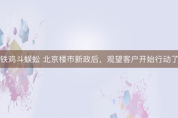 铁鸡斗蜈蚣 北京楼市新政后，观望客户开始行动了