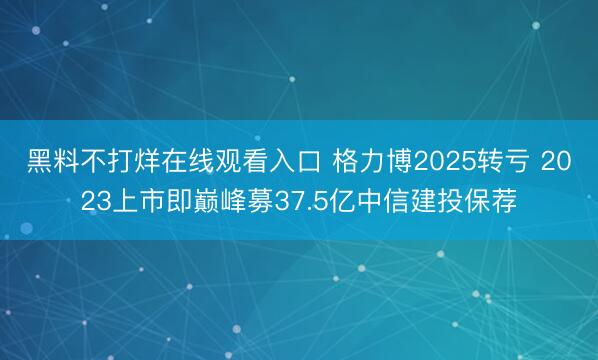 黑料不打烊在线观看入口 格力博2025转亏 2023上市即巅峰募37.5亿中信建投保荐