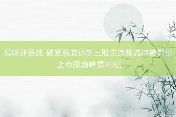 妈咪还很纯 破发股威迈斯三股东违规减持被警示 上市即巅峰募20亿