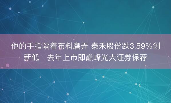 他的手指隔着布料磨弄 泰禾股份跌3.59%创新低 去年上市即巅峰光大证券保荐