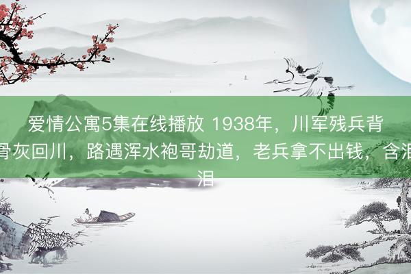 爱情公寓5集在线播放 1938年，川军残兵背骨灰回川，路遇浑水袍哥劫道，老兵拿不出钱，含泪