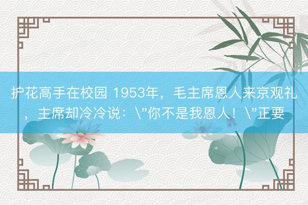 护花高手在校园 1953年，毛主席恩人来京观礼，主席却冷冷说：