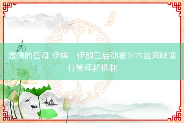 激情的岳母 伊媒：伊朗已启动霍尔木兹海峡通行管理新机制