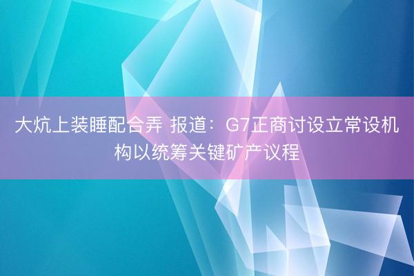 大炕上装睡配合弄 报道：G7正商讨设立常设机构以统筹关键矿产议程