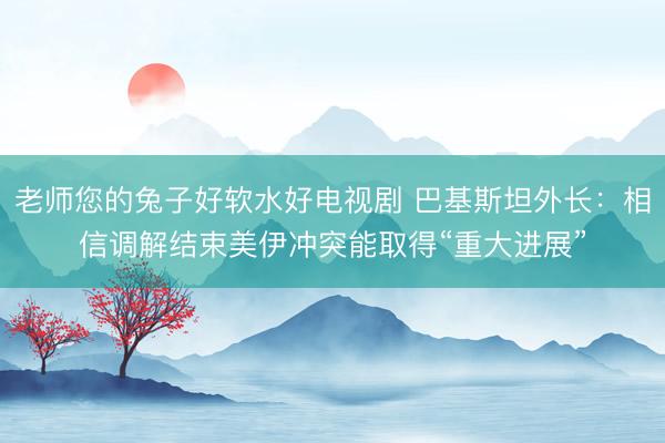 老师您的兔子好软水好电视剧 巴基斯坦外长：相信调解结束美伊冲突能取得“重大进展”