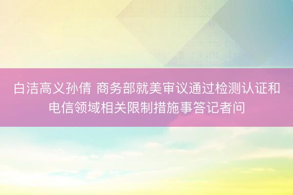 白洁高义孙倩 商务部就美审议通过检测认证和电信领域相关限制措施事答记者问