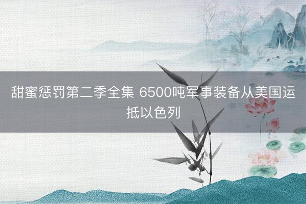 甜蜜惩罚第二季全集 6500吨军事装备从美国运抵以色列