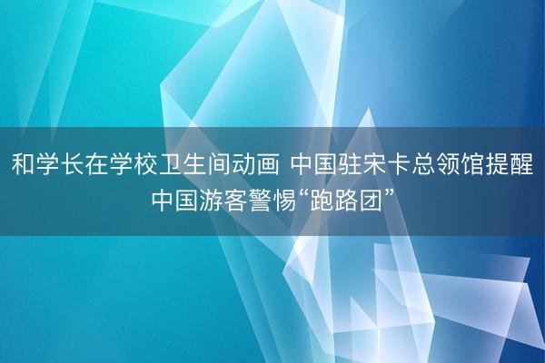 和学长在学校卫生间动画 中国驻宋卡总领馆提醒中国游客警惕“跑路团”
