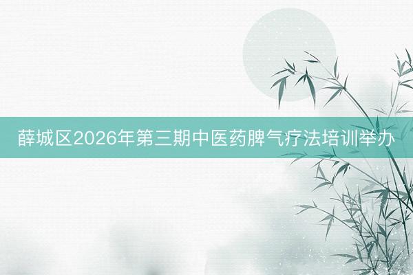 薛城区2026年第三期中医药脾气疗法培训举办