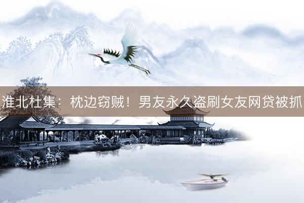 淮北杜集：枕边窃贼！男友永久盗刷女友网贷被抓