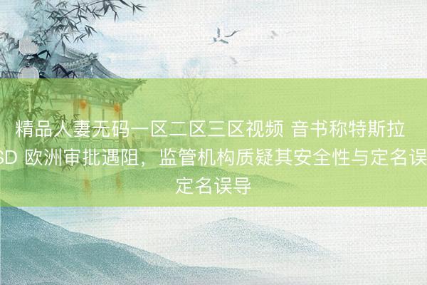 精品人妻无码一区二区三区视频 音书称特斯拉 FSD 欧洲审批遇阻，监管机构质疑其安全性与定名误导