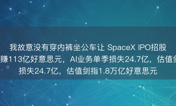 我故意没有穿内裤坐公车让 SpaceX IPO招股书首度曝光：星链年赚113亿好意思元，AI业务单季损失24.7亿，估值剑指1.8万亿好意思元