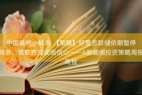中国最帅小鲜肉 【策略】好意思联储依期暂停降息，策略夯实阛阓信心——A股阛阓投资策略周报