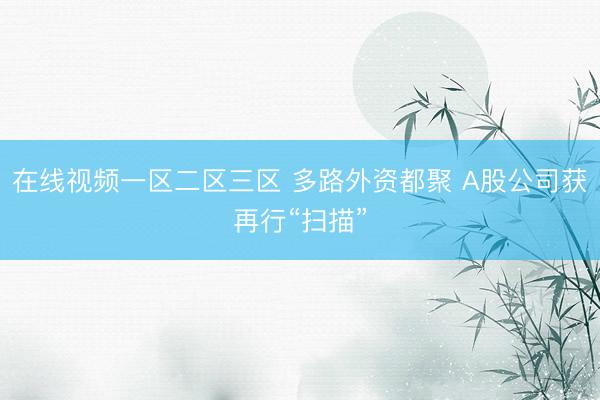 在线视频一区二区三区 多路外资都聚 A股公司获再行“扫描”