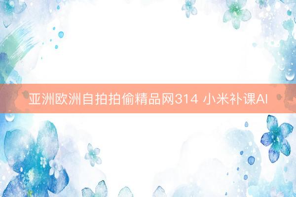 亚洲欧洲自拍拍偷精品网314 小米补课AI