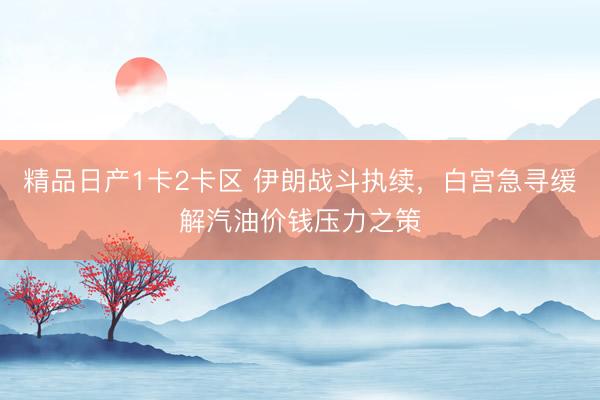 精品日产1卡2卡区 伊朗战斗执续，白宫急寻缓解汽油价钱压力之策