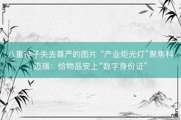 八重神子失去尊严的图片 “产业炬光灯”聚焦科迈瑞：给物品安上“数字身份证”