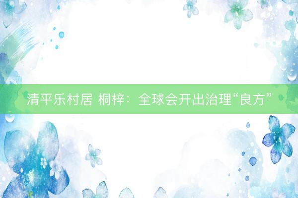 清平乐村居 桐梓：全球会开出治理“良方”