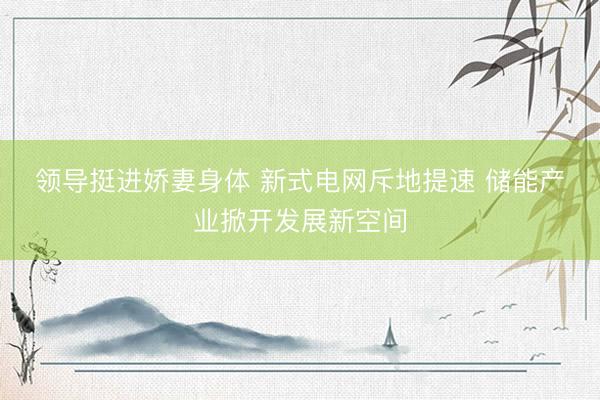 领导挺进娇妻身体 新式电网斥地提速 储能产业掀开发展新空间