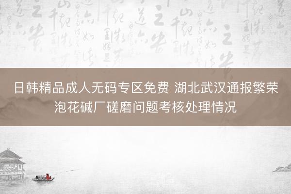 日韩精品成人无码专区免费 湖北武汉通报繁荣泡花碱厂磋磨问题考核处理情况