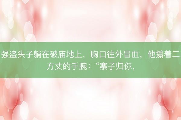 强盗头子躺在破庙地上，胸口往外冒血，他攥着二方丈的手腕：“寨子归你，