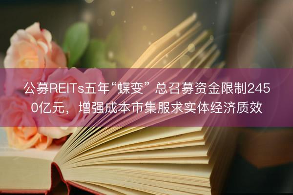 公募REITs五年“蝶变” 总召募资金限制2450亿元，增强成本市集服求实体经济质效
